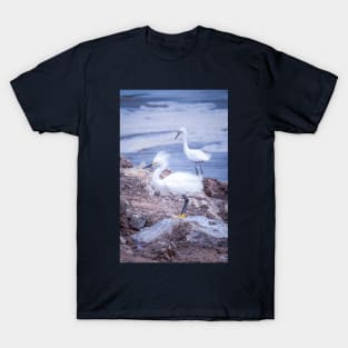 Proud Snowy Egret T-Shirt